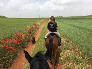 paseo a caballo